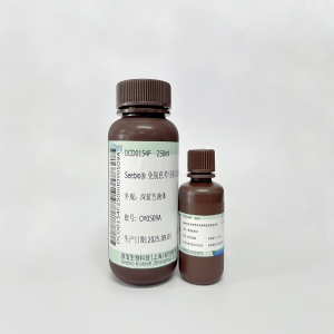 Seebio®免脱色考马斯亮蓝快速染色液