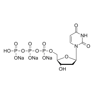 dUTP, sodium salt  脱氧尿苷三磷酸钠溶液（100 mM）