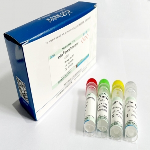 Seebio® KOD DNA Polymerase（不含 dNTP）