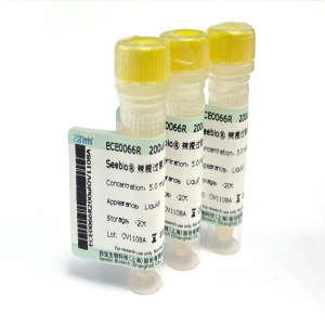 Seebio® 辣根过氧化物酶（HRP）