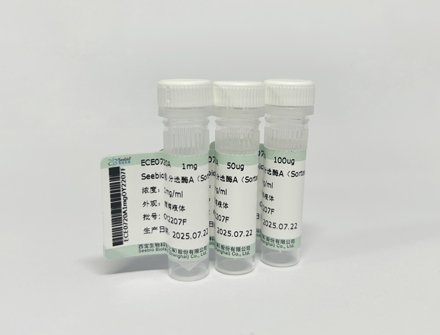 Seebio® 荧光素酶（Luciferase）