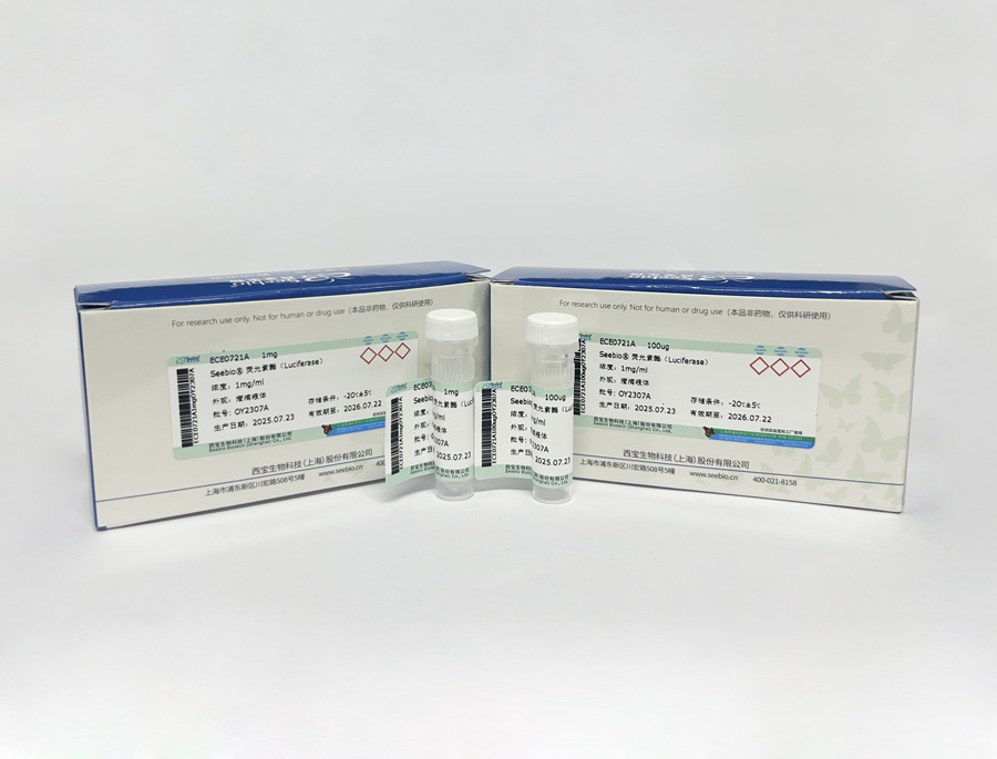 Seebio® 荧光素酶（Luciferase）
