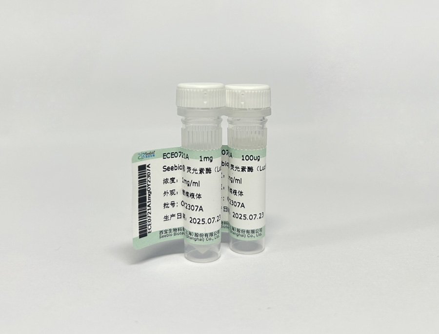 Seebio® 荧光素酶（Luciferase）