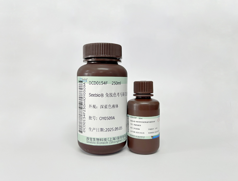 Seebio®免脱色考马斯亮蓝快速染色液