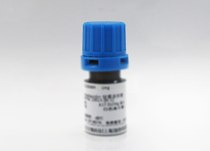 ☆蛋白酶K(冻干粉) ☆蛋白酶K(冻干粉)