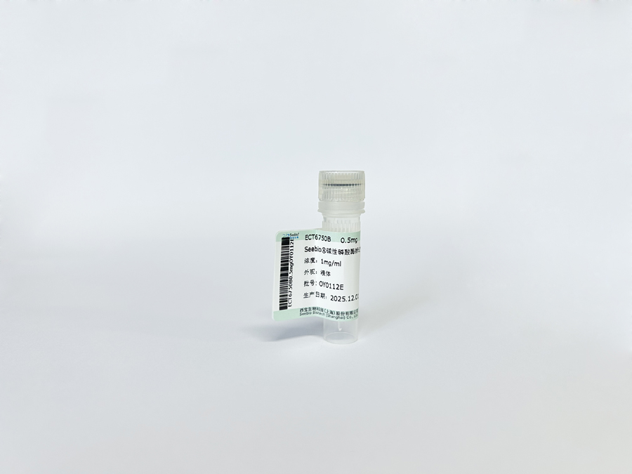 Seebio®碱性磷酸酶标记链霉亲和素（SA-ALP）