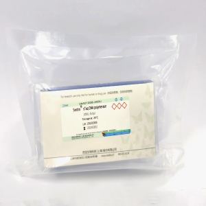 Seebio® sTaq DNA Polymerase（含dNTP）