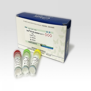 Seebio® KOD DNA polymerase（含dNTP）