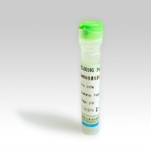 Seebio® 重组蛋白A（rProtein A，ZZZ-HS型）