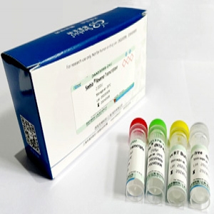 Seebio® Reverse Transcriptase