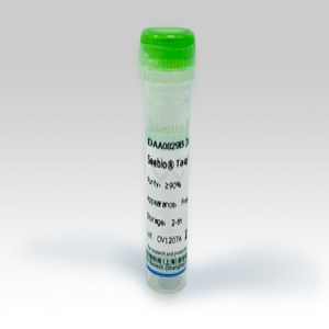 Seebio® Taq DNA Polymerase (Glycerol-free)