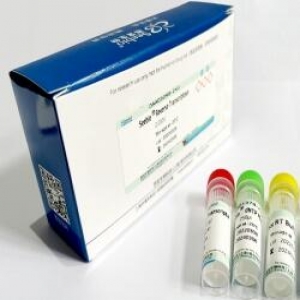 Seebio® sTaq DNA Polymerase (不含dNTP，free Mg2+  Buffer)