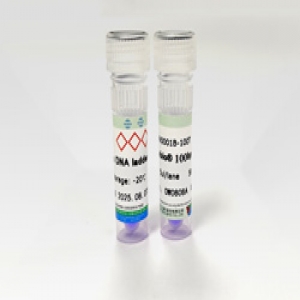 Seebio® 100bp DNA Ladder 