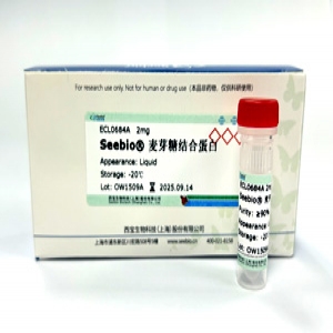 Seebio® 麦芽糖结合蛋白（MBP）
