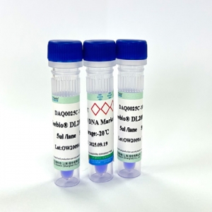 Seebio® DL2000 DNA Marker