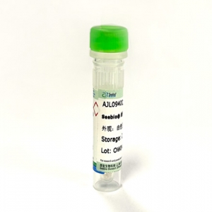 Seebio® 线性聚乙烯亚胺（PEI 40,000）（即用型）