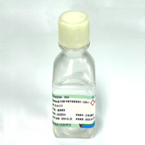 Seebio® P188 非离子表面活性剂（100×）