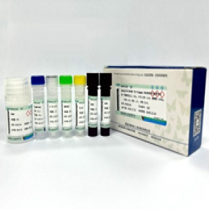 Seebio® TEV 蛋白酶（TEV Protease）活性测定试剂盒（荧光法）