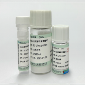 Seebio® 硫酸软骨素酶AC