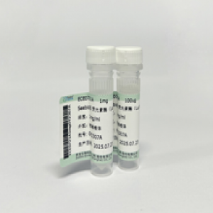 Seebio® 荧光素酶（Luciferase）