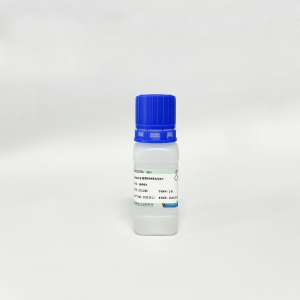 Seebio® 酶偶联物稀释液/稳定剂